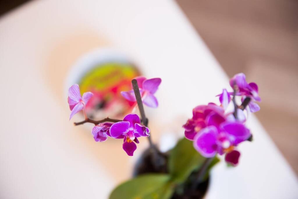 Appartamento A Bright Hideaway Ragusa Esterno foto